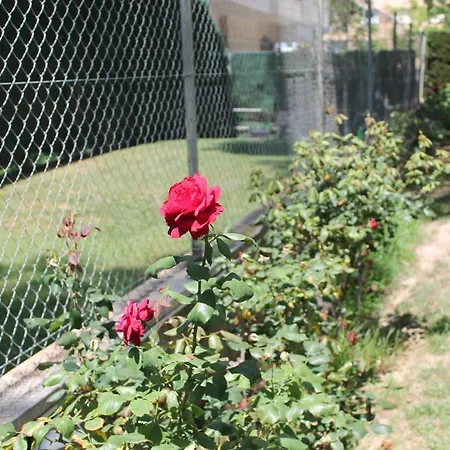 & Flowers Free Parking Apartment