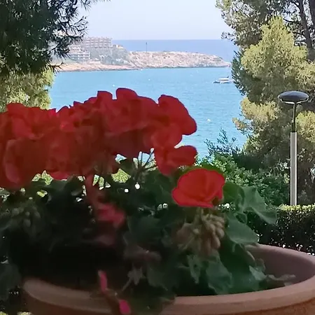 & Flowers Free Parking Salou