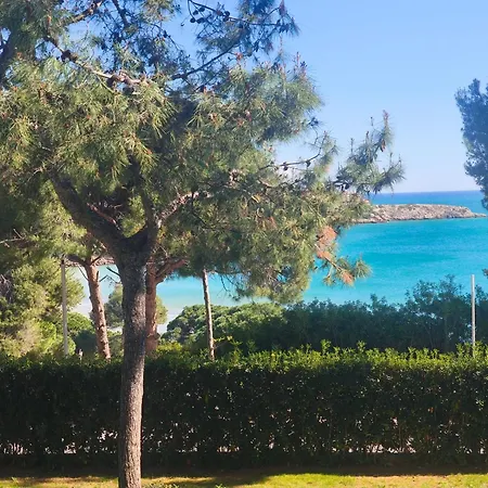 & Flowers Free Parking * Σαλού