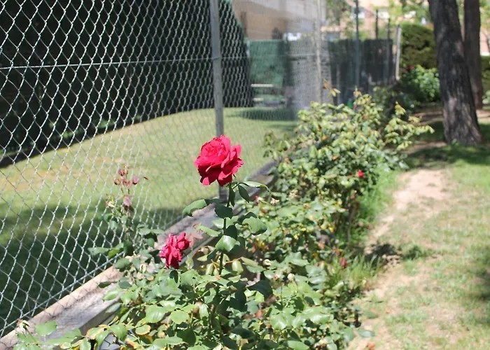 & Flowers Free Parking Διαμέρισμα