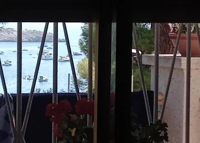 & Flowers Free Parking