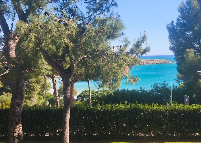 & Flowers Free Parking * Σαλού